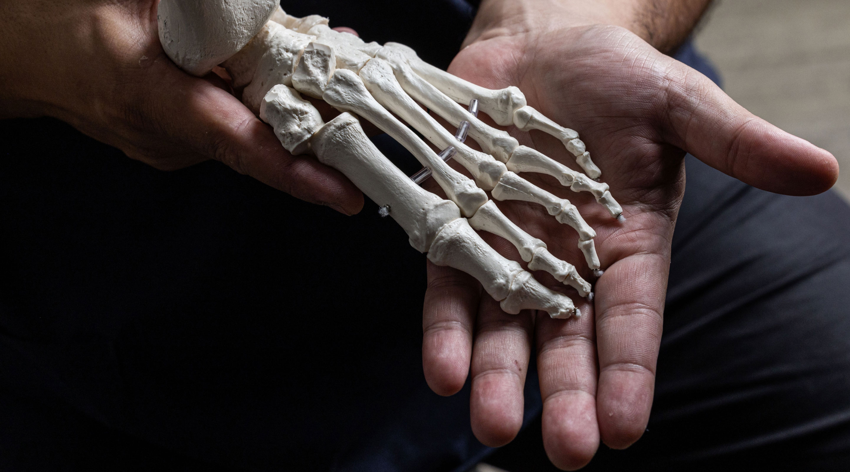 WTW Podiatry